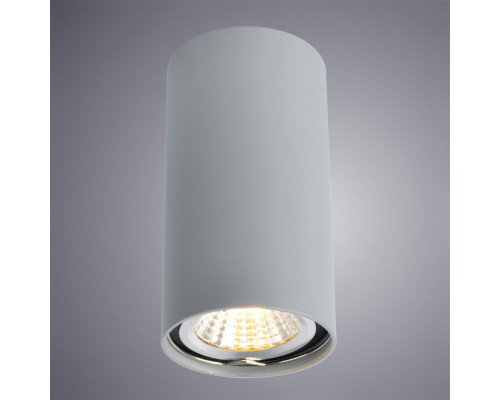 Купить Накладной светильник ARTE Lamp A1516PL-1GY| VIVID-LIGHT.RU