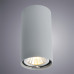 Купить Накладной светильник ARTE Lamp A1516PL-1GY| VIVID-LIGHT.RU