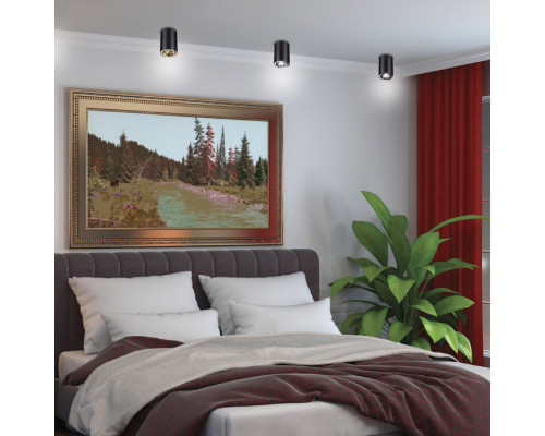 Сделать заказ Накладной светильник Novotech 370456| VIVID-LIGHT.RU