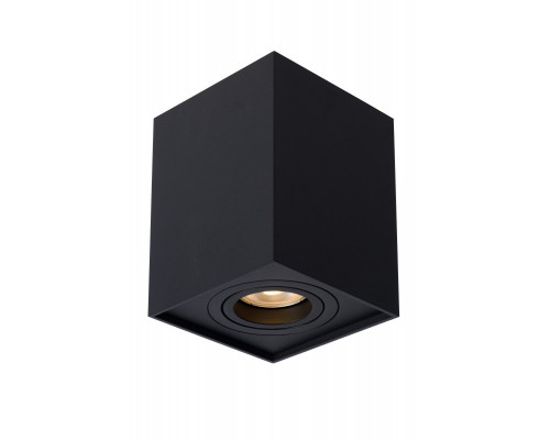 Заказать Накладной светильник LUCIDE 22953/01/30| VIVID-LIGHT.RU