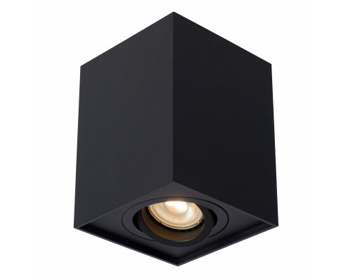 Заказать Накладной светильник LUCIDE 22953/01/30| VIVID-LIGHT.RU