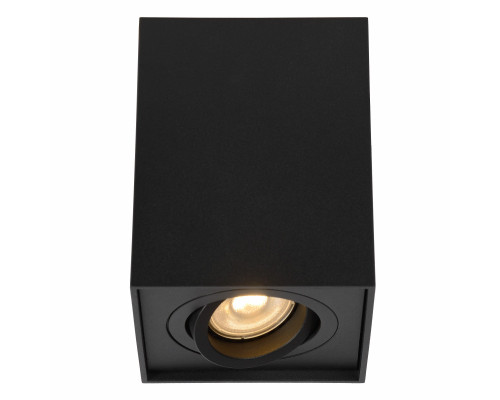 Заказать Накладной светильник LUCIDE 22953/01/30| VIVID-LIGHT.RU