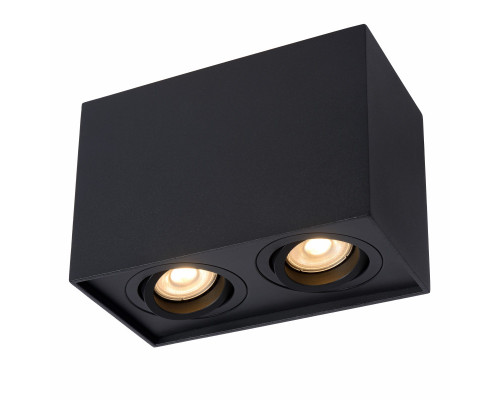 Оформить заказ Накладной светильник LUCIDE 22953/02/30| VIVID-LIGHT.RU