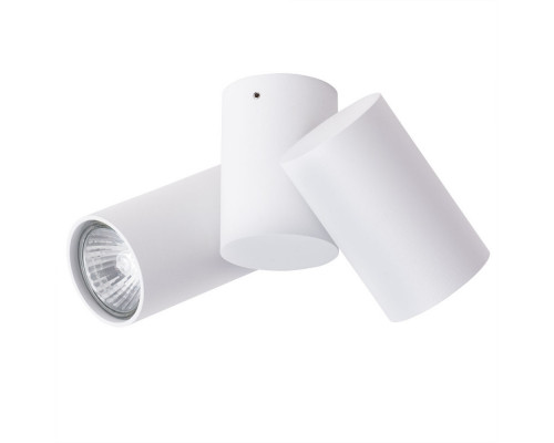 Купить Накладной светильник ARTE Lamp A1511PL-2WH| VIVID-LIGHT.RU