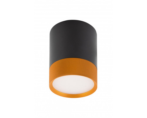 Оформить заказ Накладной светильник Denkirs DK4017-BG| VIVID-LIGHT.RU