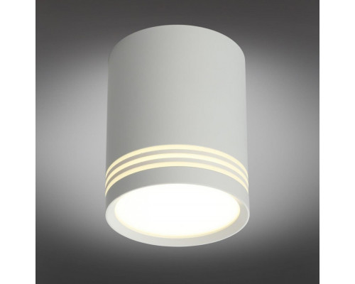 Оформить заказ Накладной светильник Omnilux OML-100109-12| VIVID-LIGHT.RU