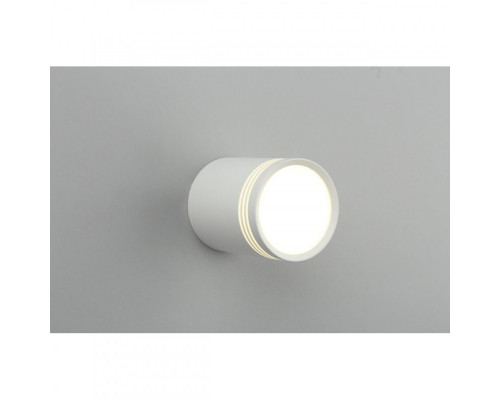 Оформить заказ Накладной светильник Omnilux OML-100109-12| VIVID-LIGHT.RU