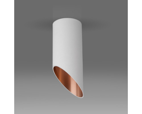 Заказать Накладной светильник Elektrostandard DLN114 GU10 белый/золото| VIVID-LIGHT.RU