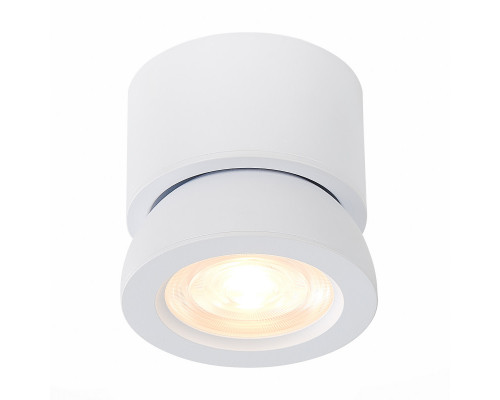 Сделать заказ Накладной светильник ST-Luce ST654.542.10| VIVID-LIGHT.RU