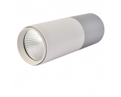 Оформить заказ Накладной светильник Favourite 3071-1C| VIVID-LIGHT.RU