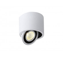Накладной светильник Donolux DL18700/11WW-White Dim
