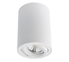 Накладной светильник ARTE Lamp A1560PL-1WH