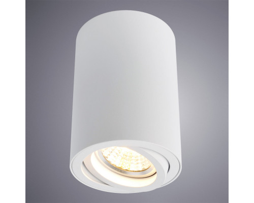 Купить Накладной светильник ARTE Lamp A1560PL-1WH| VIVID-LIGHT.RU