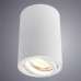 Купить Накладной светильник ARTE Lamp A1560PL-1WH| VIVID-LIGHT.RU