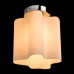 Купить Накладной светильник ARTE Lamp A3479PL-1CC| VIVID-LIGHT.RU