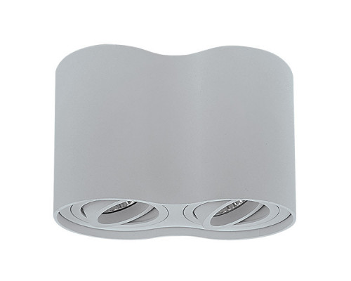 Купить Накладной светильник Lightstar 052029| VIVID-LIGHT.RU