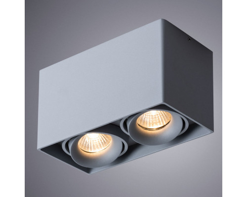 Сделать заказ Накладной светильник ARTE Lamp A5654PL-2GY| VIVID-LIGHT.RU