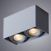 Сделать заказ Накладной светильник ARTE Lamp A5654PL-2GY| VIVID-LIGHT.RU