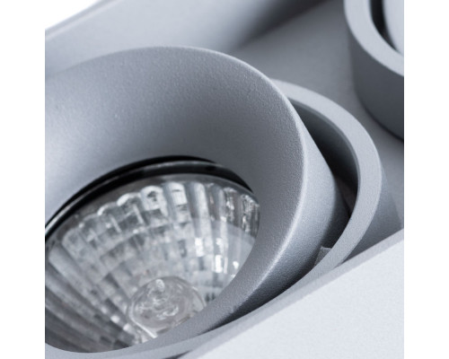 Сделать заказ Накладной светильник ARTE Lamp A5654PL-2GY| VIVID-LIGHT.RU