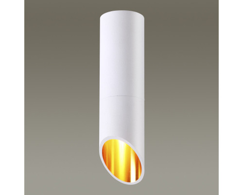 Оформить заказ Накладной светильник Odeon Light 4210/1C| VIVID-LIGHT.RU