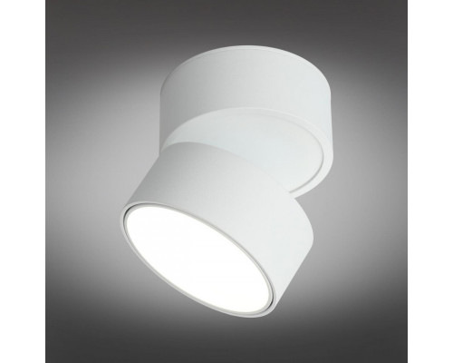 Оформить заказ Накладной светильник Omnilux OML-101309-18| VIVID-LIGHT.RU