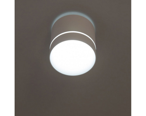 Заказать Накладной светильник Citilux CL745020N| VIVID-LIGHT.RU