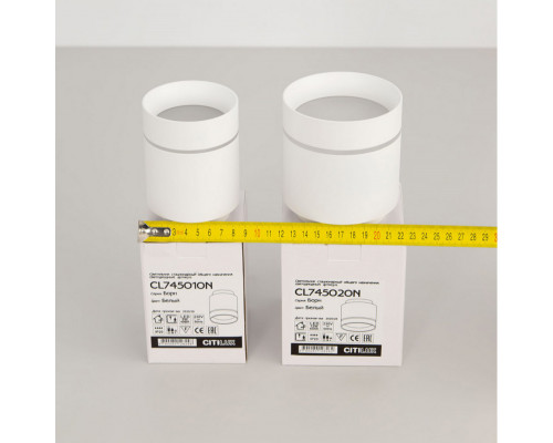 Заказать Накладной светильник Citilux CL745020N| VIVID-LIGHT.RU