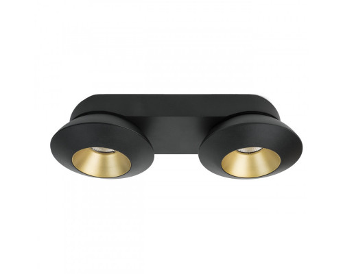 Заказать Накладной светильник LeDron KRIS SLIM 2 Black/Gold| VIVID-LIGHT.RU