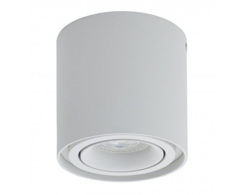 Сделать заказ Накладной светильник Denkirs DK2001-WH| VIVID-LIGHT.RU