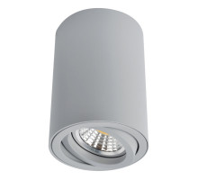 Накладной светильник ARTE Lamp A1560PL-1GY