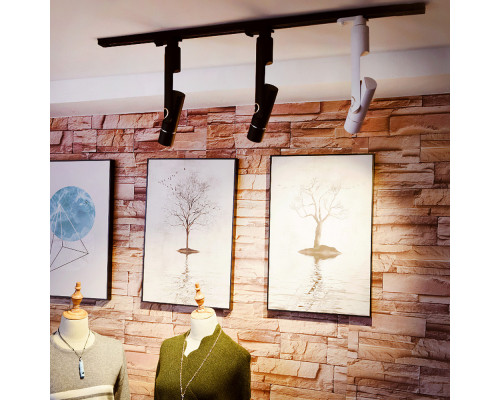 Купить Накладной светильник ARTE Lamp A2511PL-1BK| VIVID-LIGHT.RU