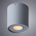 Сделать заказ Накладной светильник ARTE Lamp A5645PL-1GY| VIVID-LIGHT.RU