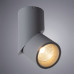 Купить Накладной светильник ARTE Lamp A7717PL-1GY| VIVID-LIGHT.RU