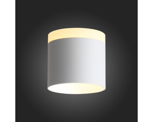 Заказать Накладной светильник ST-Luce ST102.502.09| VIVID-LIGHT.RU