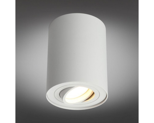 Заказать Накладной светильник Omnilux OML-101009-01| VIVID-LIGHT.RU