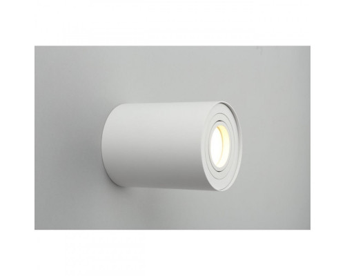 Заказать Накладной светильник Omnilux OML-101009-01| VIVID-LIGHT.RU