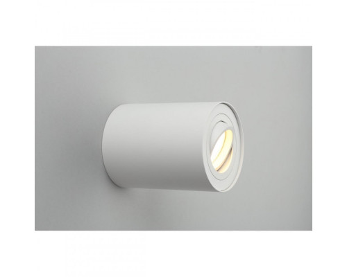 Заказать Накладной светильник Omnilux OML-101009-01| VIVID-LIGHT.RU