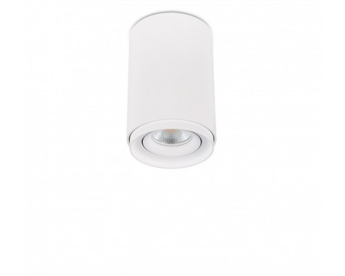 Купить Накладной светильник SYNEIL 2065-1CLW| VIVID-LIGHT.RU