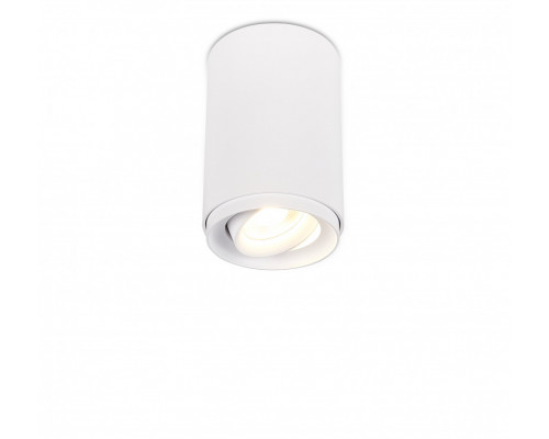 Купить Накладной светильник SYNEIL 2065-1CLW| VIVID-LIGHT.RU