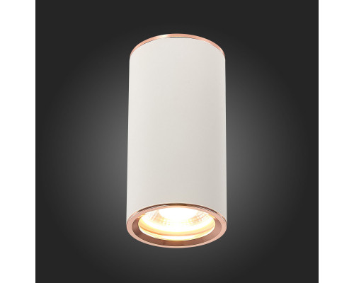 Сделать заказ Накладной светильник ST-Luce ST111.527.01| VIVID-LIGHT.RU