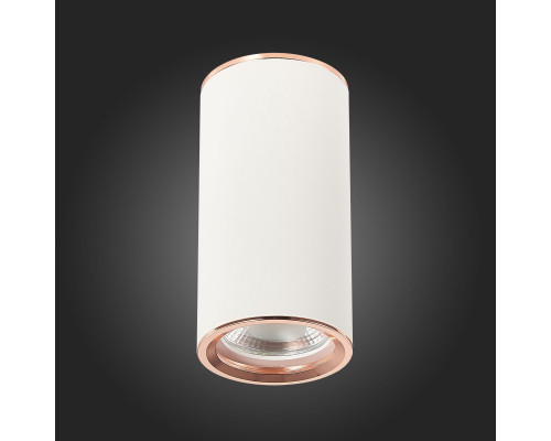 Сделать заказ Накладной светильник ST-Luce ST111.527.01| VIVID-LIGHT.RU