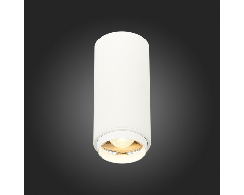 Сделать заказ Накладной светильник ST-Luce ST600.532.10| VIVID-LIGHT.RU