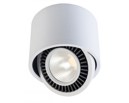 Оформить заказ Накладной светильник DeMarkt 637017301| VIVID-LIGHT.RU