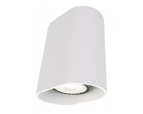 Заказать Накладной светильник Denkirs DK2005-WH| VIVID-LIGHT.RU