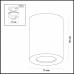 Оформить заказ Накладной светильник Odeon Light 3570/1C| VIVID-LIGHT.RU