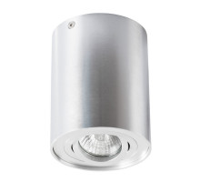 Накладной светильник ARTE Lamp A5644PL-1SI