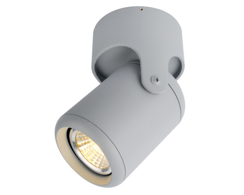 Заказать Накладной светильник ARTE Lamp A3316PL-1GY| VIVID-LIGHT.RU