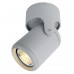 Заказать Накладной светильник ARTE Lamp A3316PL-1GY| VIVID-LIGHT.RU