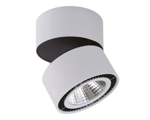 Сделать заказ Накладной светильник Lightstar 214859| VIVID-LIGHT.RU