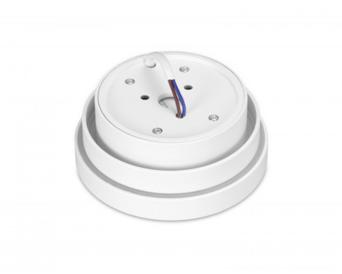 Купить Накладной светильник Ambrella Light TN601| VIVID-LIGHT.RU